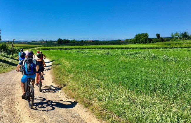 Lazise Vineyards E-Bike Tour and Wine Tasting - Photo 2