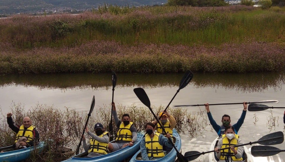 Tour de aventura no Parque Metropolitano
