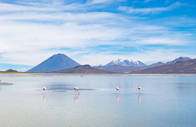 Trekking de 2 o 3 días por el Valle del Colca - Foto 2