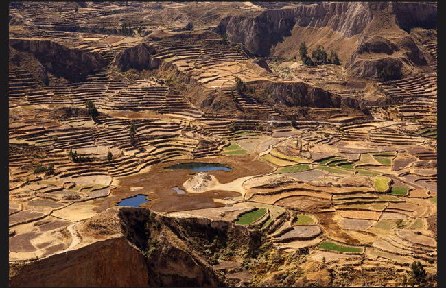 Trekking nella Valle del Colca di 2 o 3 giorni - Foto 2
