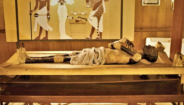 Eintrittskarte für das Pharaonic Village - Foto 2