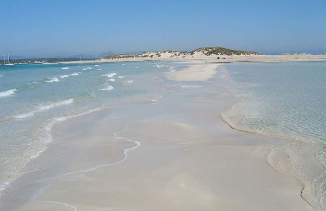 Excursión a la isla de Espalmador - Foto 4
