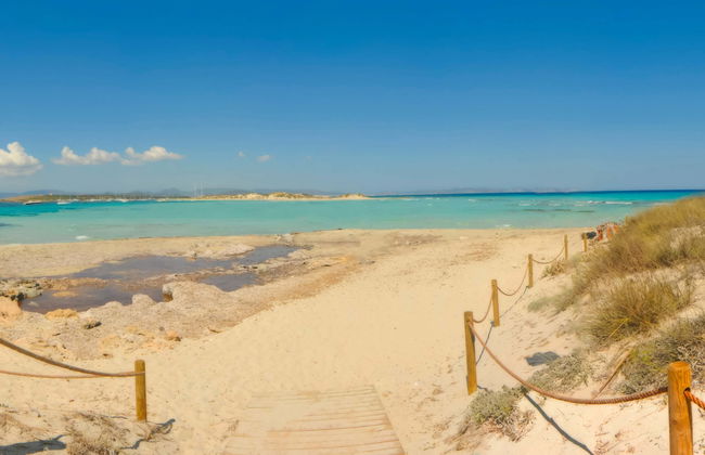 Excursión a la isla de Espalmador - Foto 8