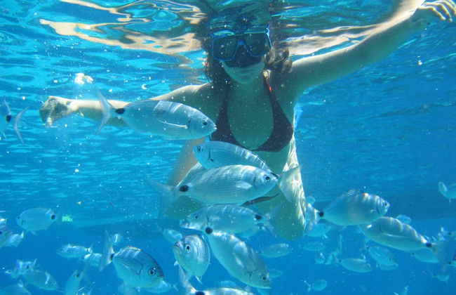 Excursión a la isla de Espalmador - Foto 7