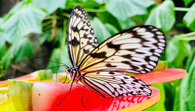 Sentosa Fun Pass - Photo 5