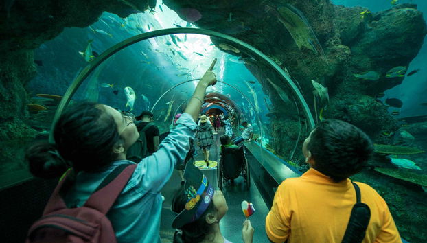 Sentosa Fun Pass - Photo 2