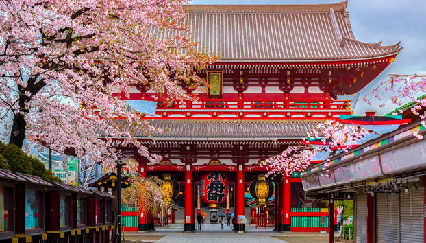 Asakusa Guided Tour - Foto 5