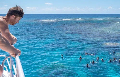 Snorkel en la Gran Barrera de Coral - Foto 5