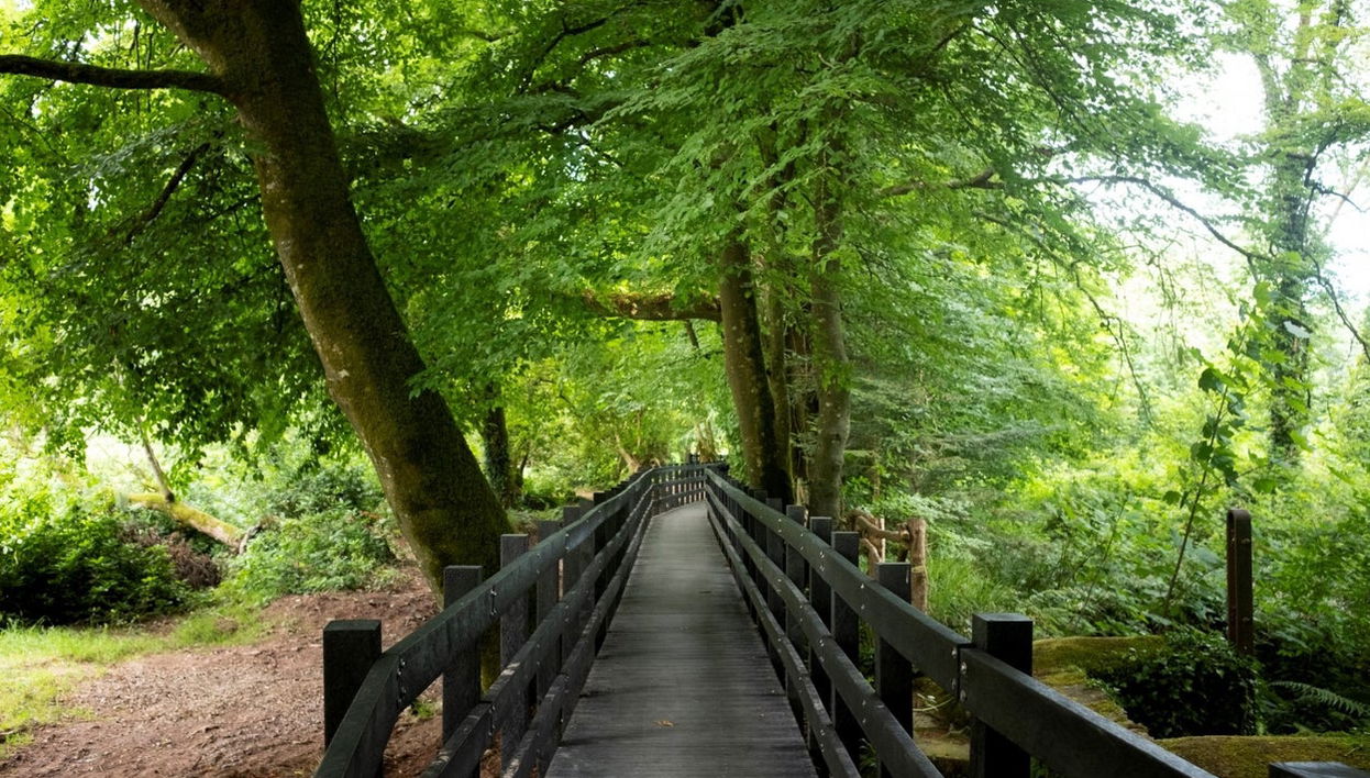 Senderismo por Lady Louisa’s Walk - Foto 1