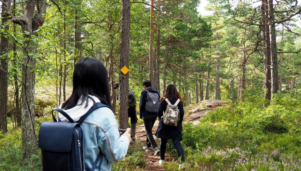 Archipelago Nature Excursion - Half-Day Tour - Photo 1