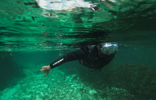 Paseo en barco por Barra do Sucuri con snorkel - Foto 6
