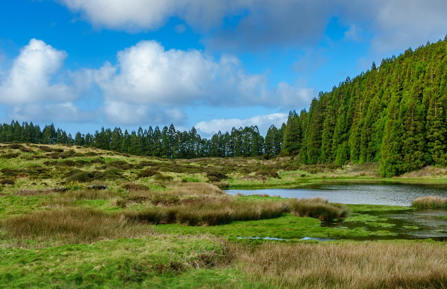 Tour di Terceira in bici elettrica - Foto 4
