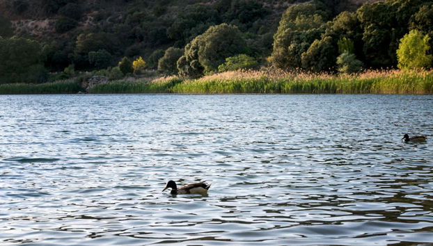 Visita guiada por las Lagunas de Ruidera - Foto 4