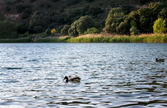 Visita guiada por las Lagunas de Ruidera - Foto 4