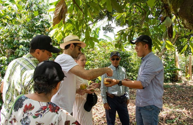 Tour del cacao por la finca El Argel - Foto 4