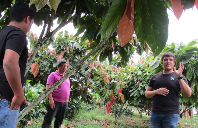 Tour del cacao por la finca El Argel - Foto 2