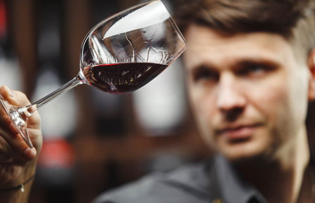 Tour de vinhedos e adegas por San Juan - Foto 4