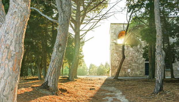 Excursão à colina de Filerimos e vale das Borboletas - Foto 3