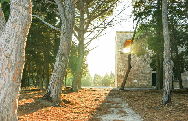 Excursion au Mont Filérimos et à la Vallée des Papillons - Photo 3
