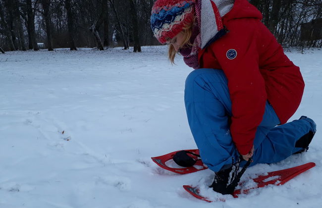Paseo con raquetas de nieve por los bosques de Tallin - Foto 2