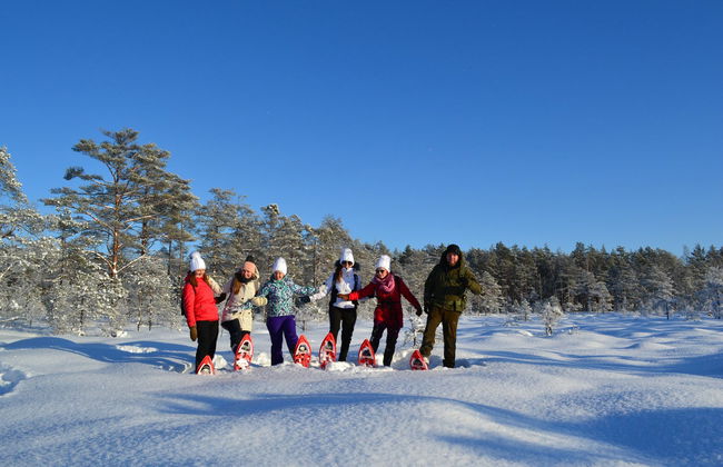 Paseo con raquetas de nieve por los bosques de Tallin - Foto 3