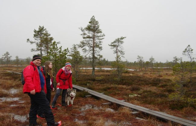 Paseo con raquetas de nieve por los bosques de Tallin - Foto 6