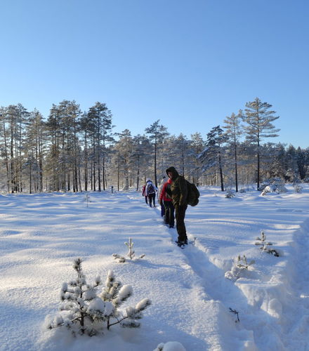 Foto de Paseo con raquetas de nieve por los bosques de Tallin