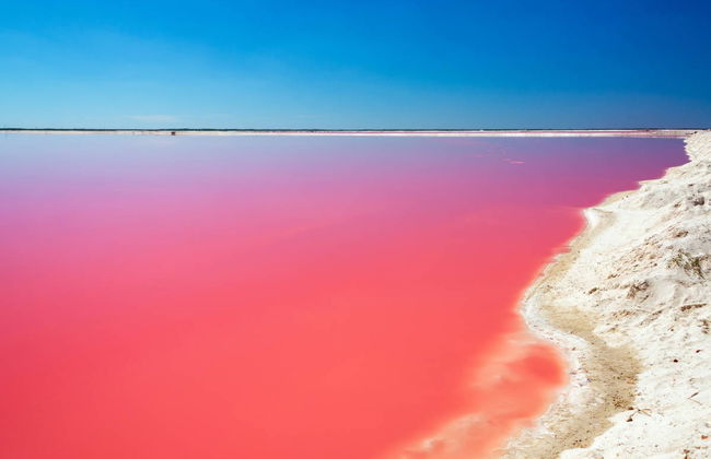 Excursión a Las Coloradas y río Lagartos - Foto 1