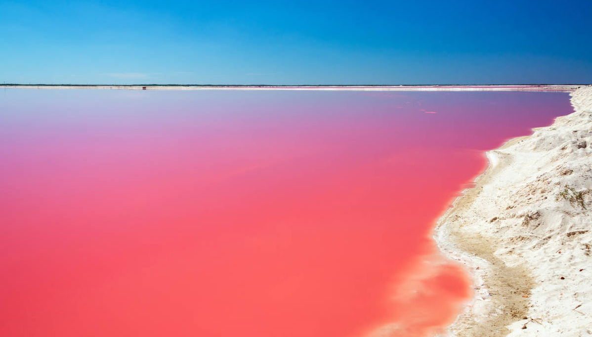 Excursão a Las Coloradas e ao rio Lagartos - Foto 1
