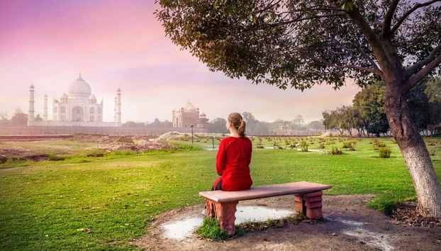 Tour privado por el jardín Mehtab Bagh y mausoleo Itimad-ud-Daulah - Foto 3