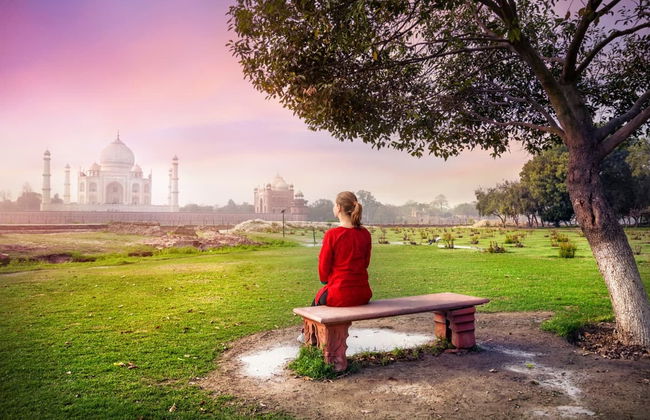 Tour privado por el jardín Mehtab Bagh y mausoleo Itimad-ud-Daulah - Foto 3