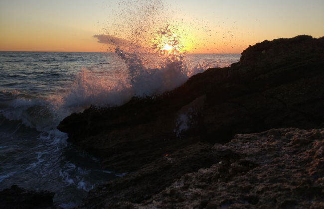 Tour en kayak a la isla de Sancti Petri al atardecer - Foto 6