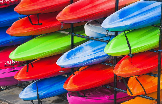 Tour en kayak por las marismas de Sancti Petri - Foto 5