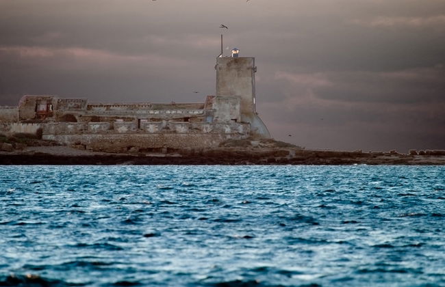 Tour en kayak a la isla de Sancti Petri al atardecer - Foto 7