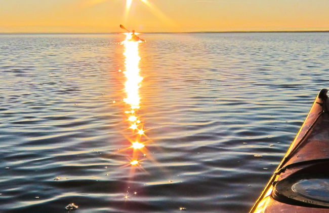 Tour en kayak a la isla de Sancti Petri al atardecer - Foto 3