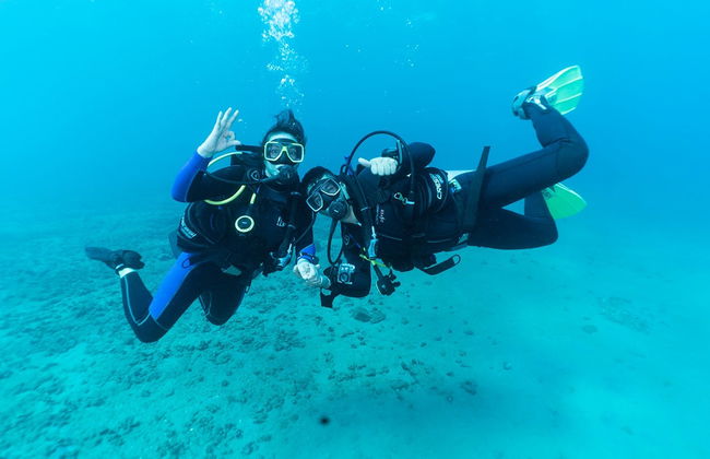 Taganga Beginners Scuba Diving Lesson - Photo 1