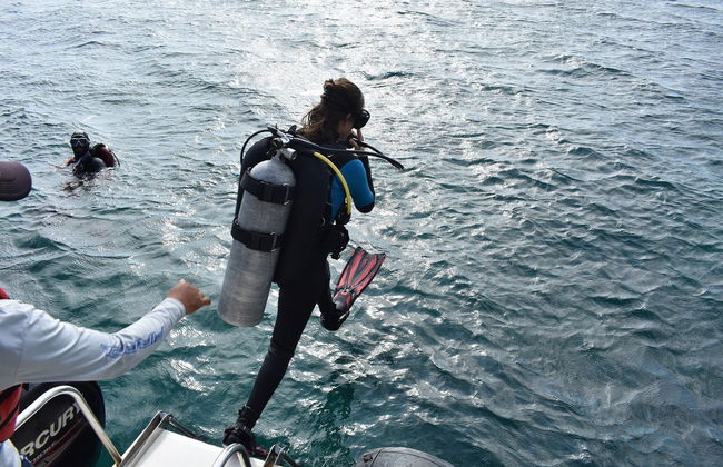Taganga Beginners Scuba Diving Lesson - Photo 3