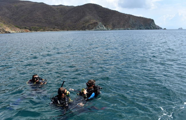 Bautismo de buceo en Taganga - Foto 5