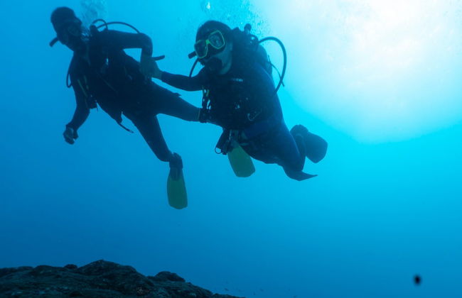 Bautismo de buceo en Taganga - Foto 4