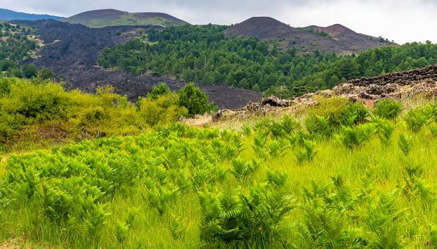 Balade en 4x4 sur l'Etna au coucher de soleil - Photo 5