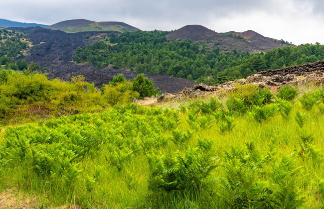 Tour de 4x4 pelo Etna ao entardecer - Foto 5