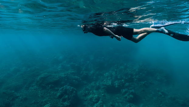 Snorkel en Cabo de Gata - Foto 4