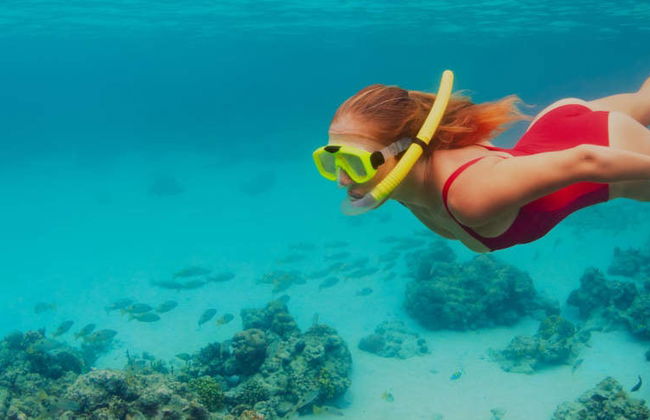 Snorkel en Jávea - Foto 3