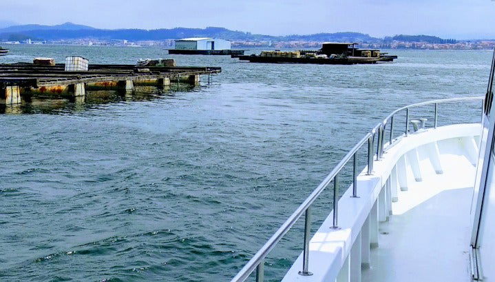 Paseo en barco por la ría de Arosa con comida