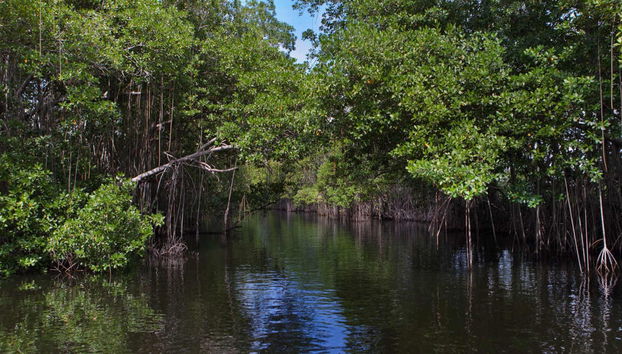 Excursión a Río Negro y Cataratas YS - Foto 2