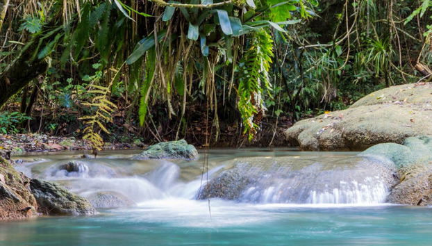 Excursión a Río Negro y Cataratas YS - Foto 4
