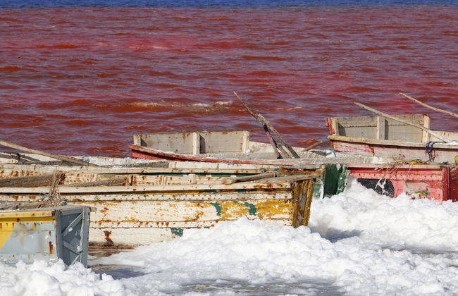 Excursión privada al Lago Rosa - Foto 4