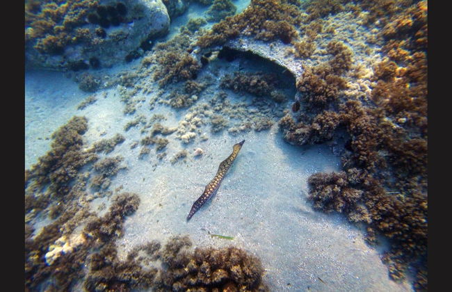 Kayak en el Cabo de Gata - Foto 19