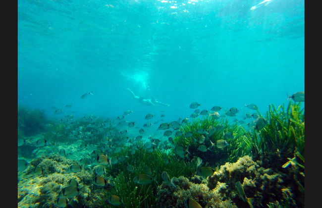 Kayak en el Cabo de Gata - Foto 12
