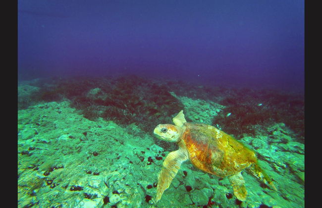 Kayak en el Cabo de Gata - Foto 9